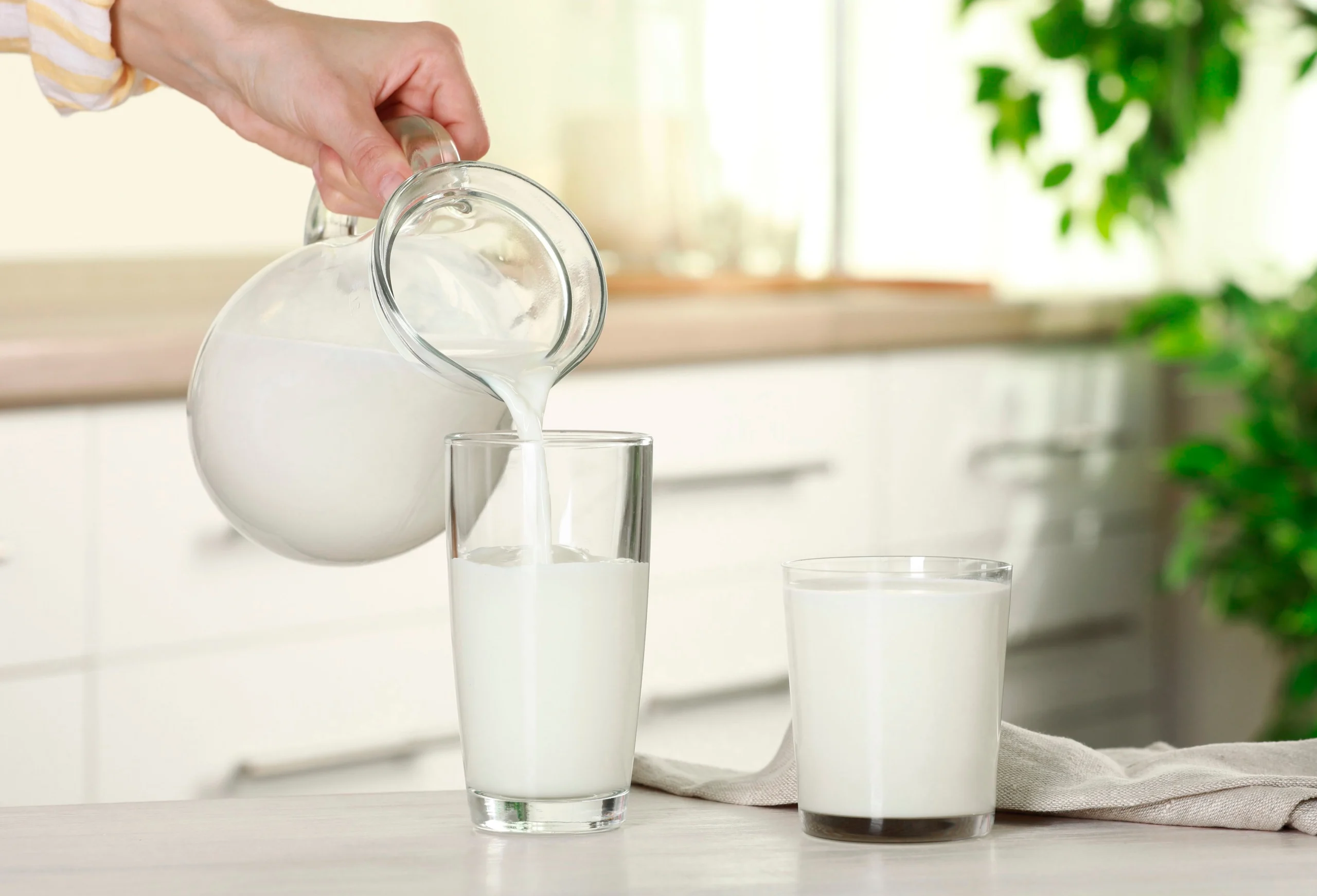牛乳でたんぱく質不足を解消！